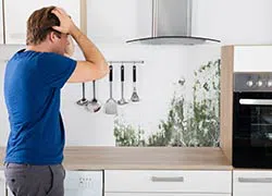 Miami Beach Emergency Restoration Miami Beach, FL 786-338-9095 - miami-beach
