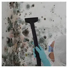 Miami Beach Emergency Restoration Miami Beach, FL 786-338-9095 - sidebar-03